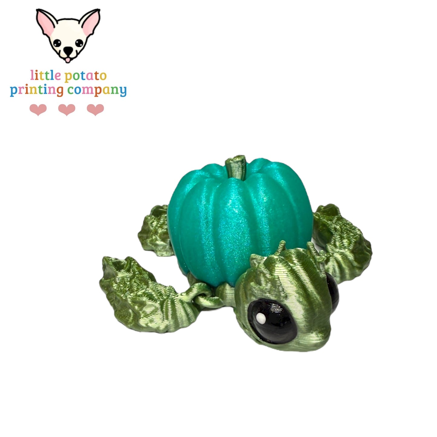Mini Pumpkinurtle MMU