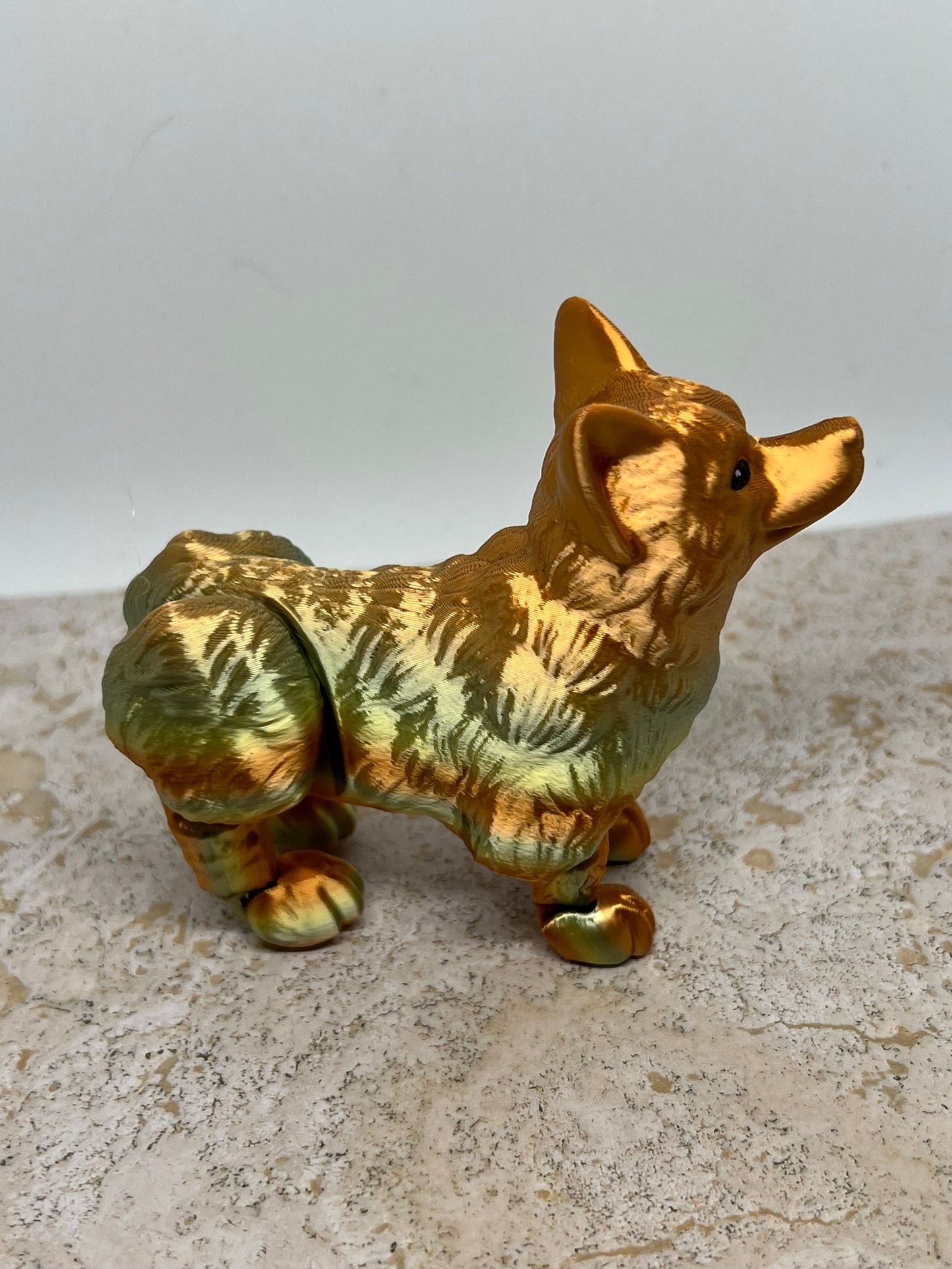 Corgi Dog Flexi - Medium