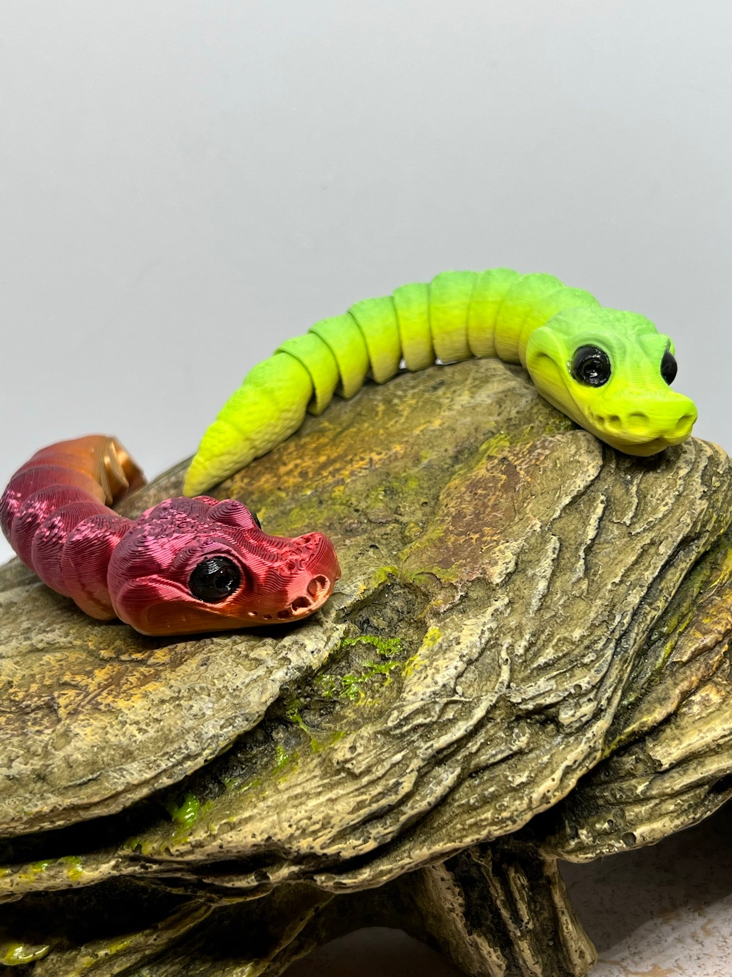 Snake - Baby Ball Python