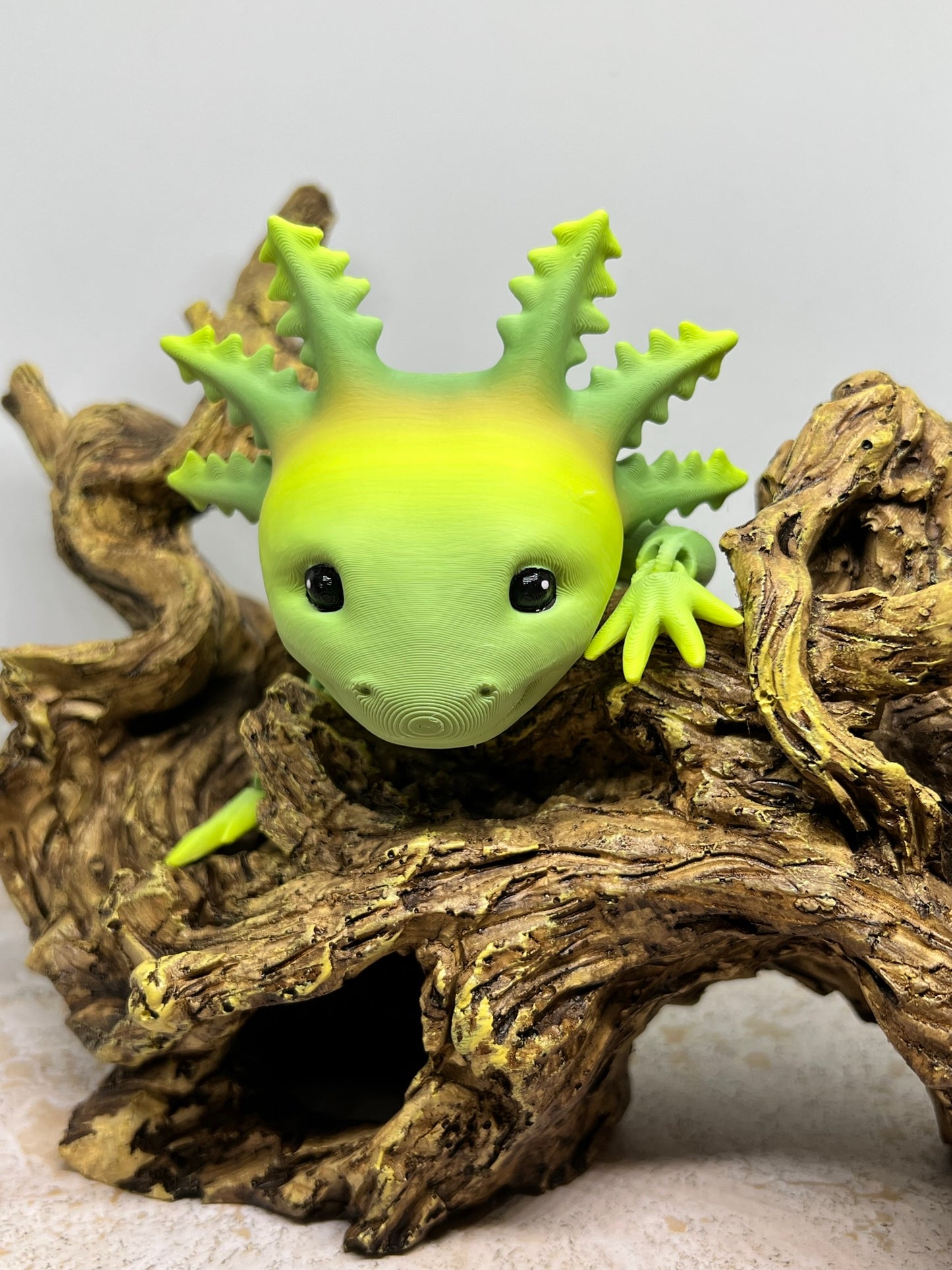 Smiling Axolotl - Medium (Solid Head Fins)
