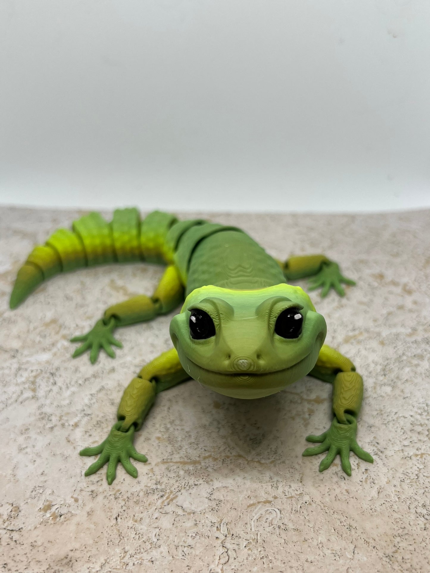 Leopard Gecko - Medium