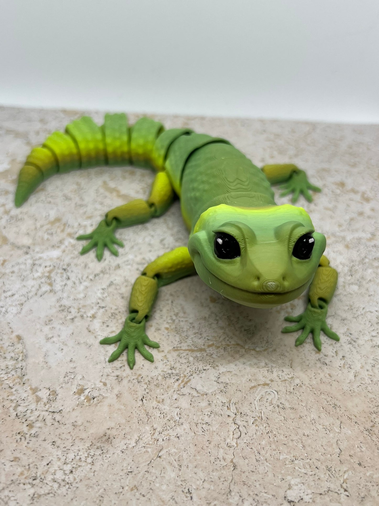 Leopard Gecko - Medium