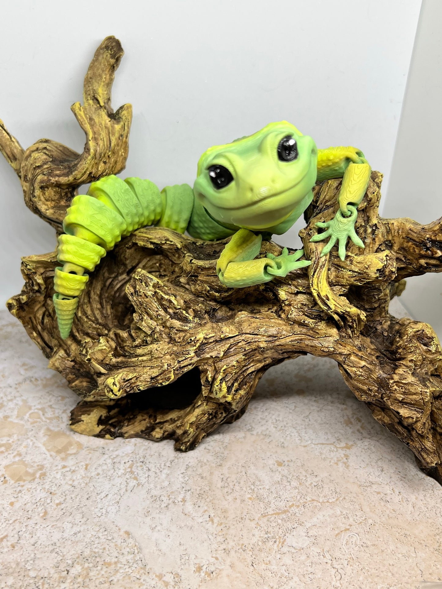 Leopard Gecko - Medium