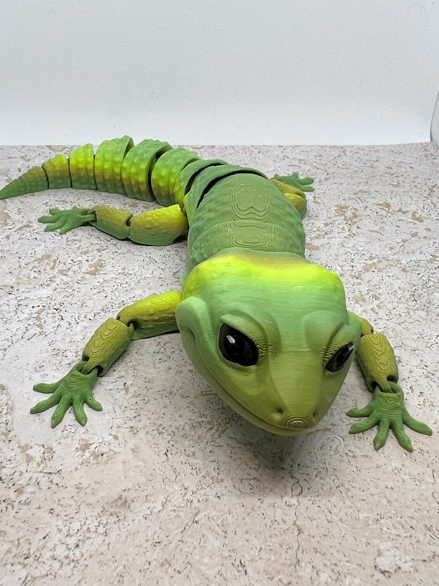 Leopard Gecko - Medium