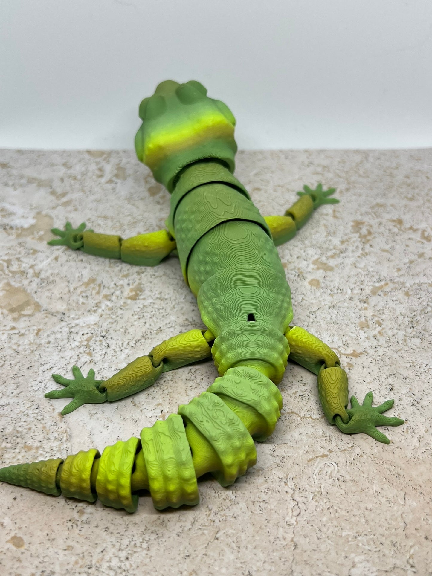 Leopard Gecko - Medium
