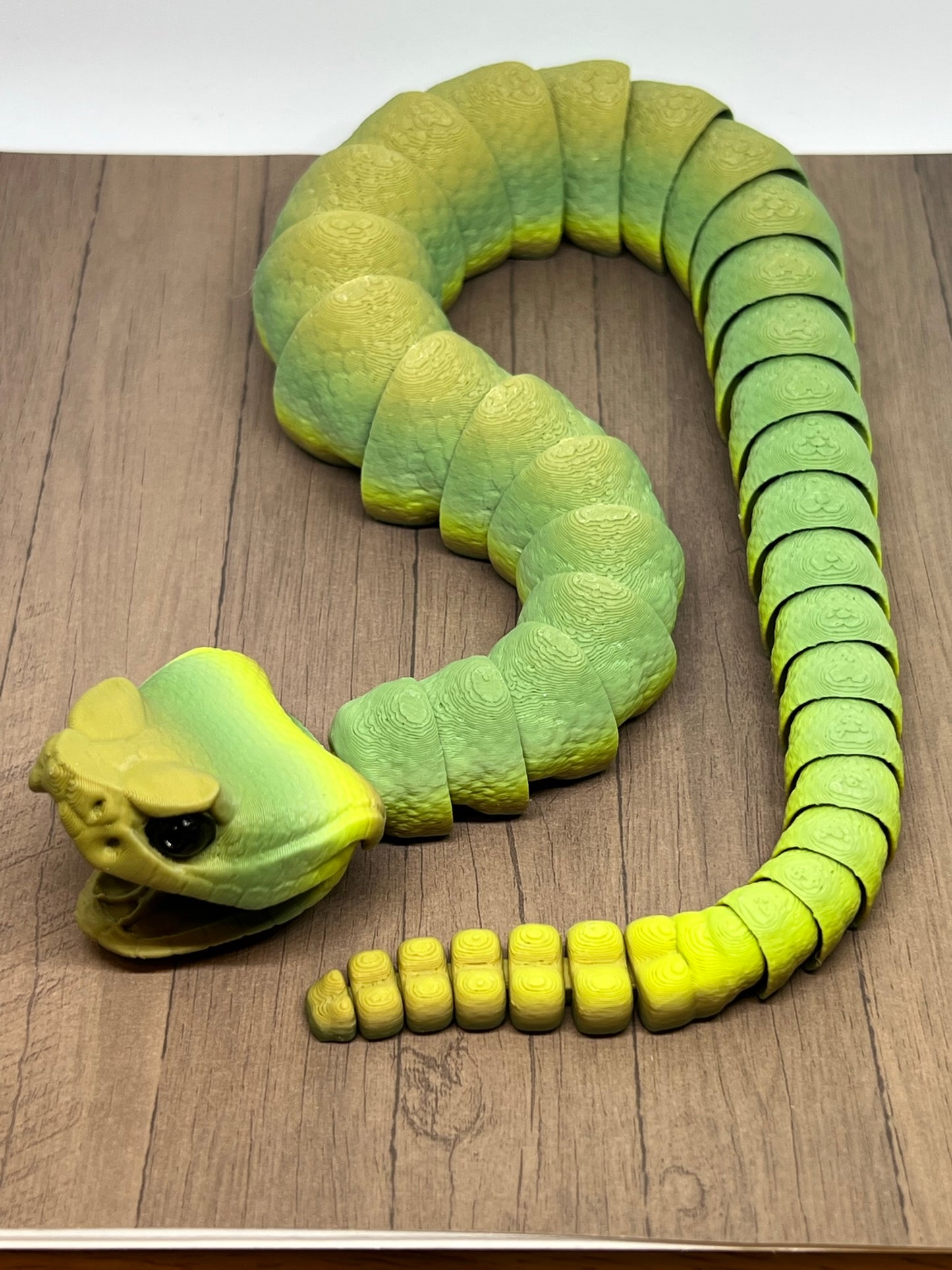 Snake - Rattlesnake