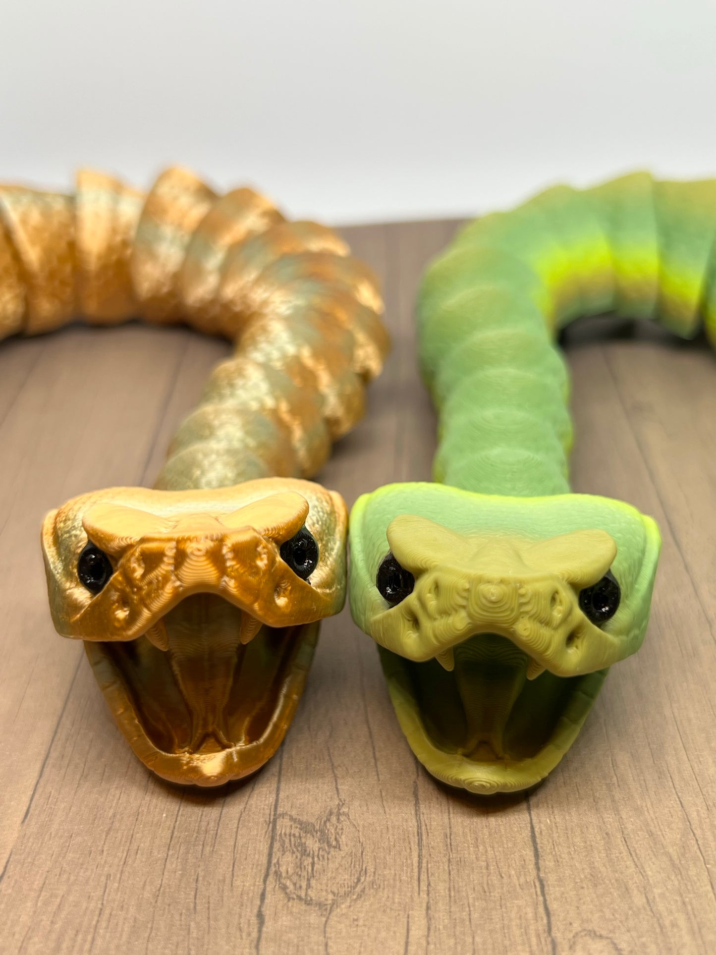 Snake - Rattlesnake