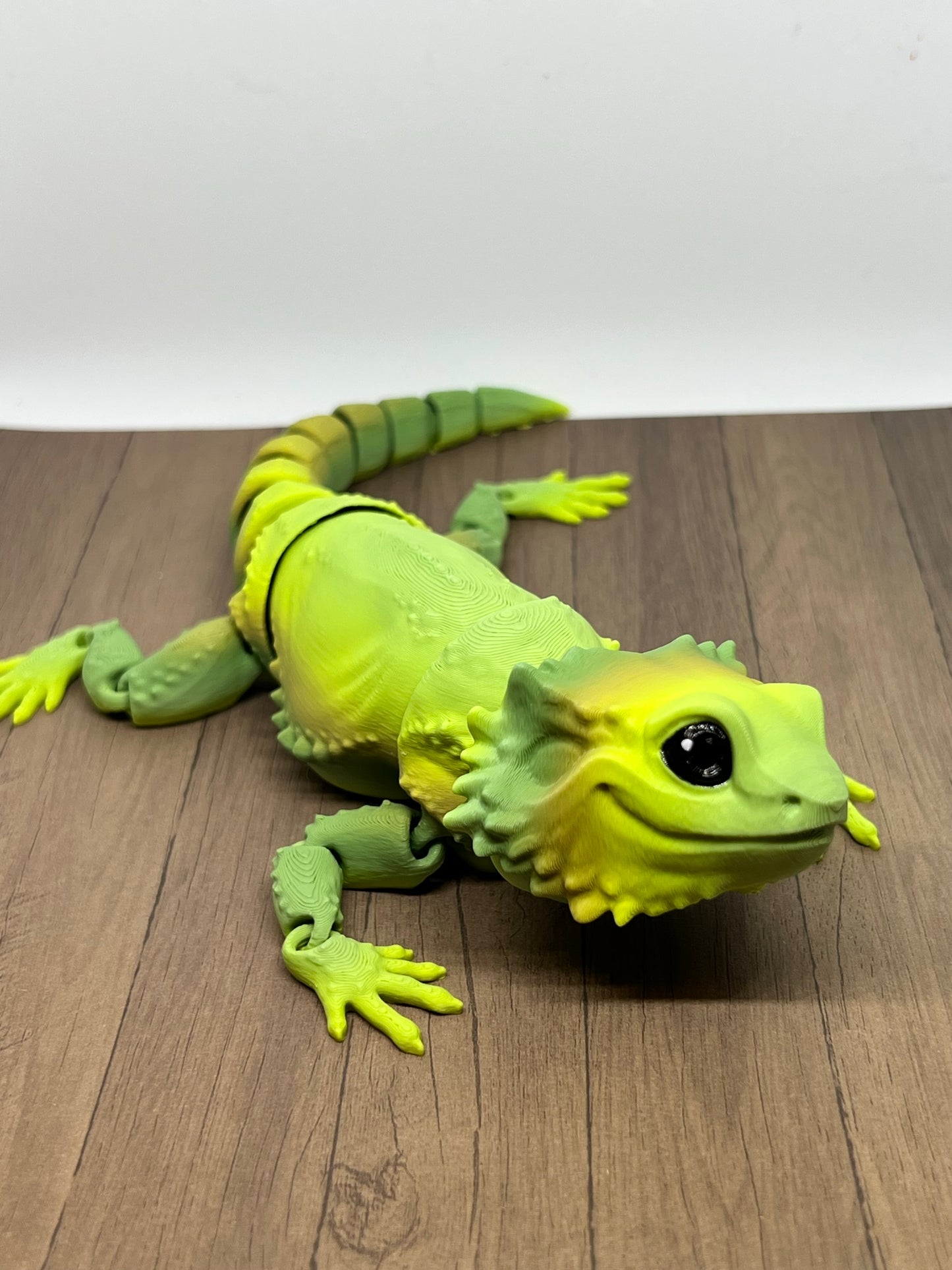 Bearded Dragon - Medium
