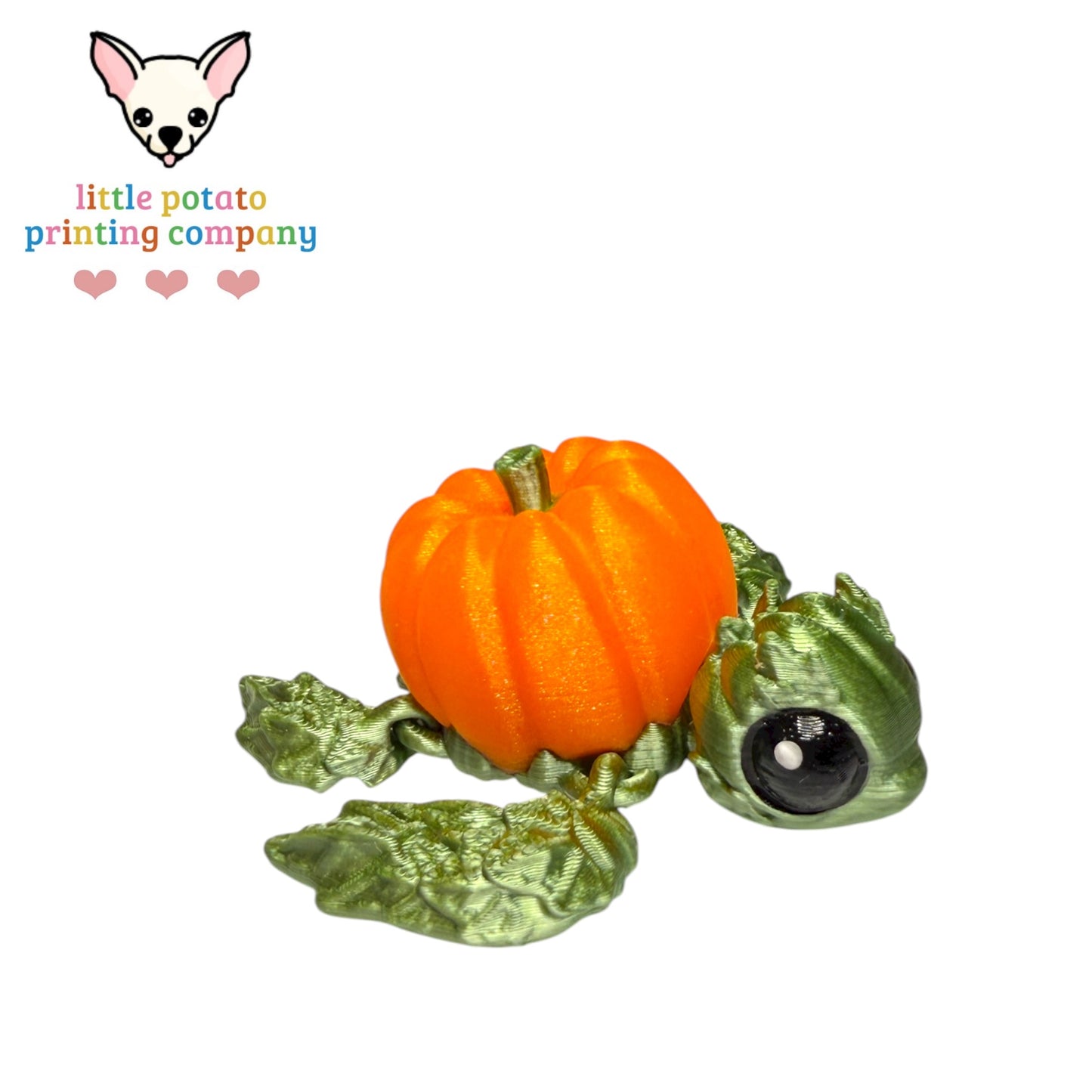 Mini Pumpkinurtle MMU