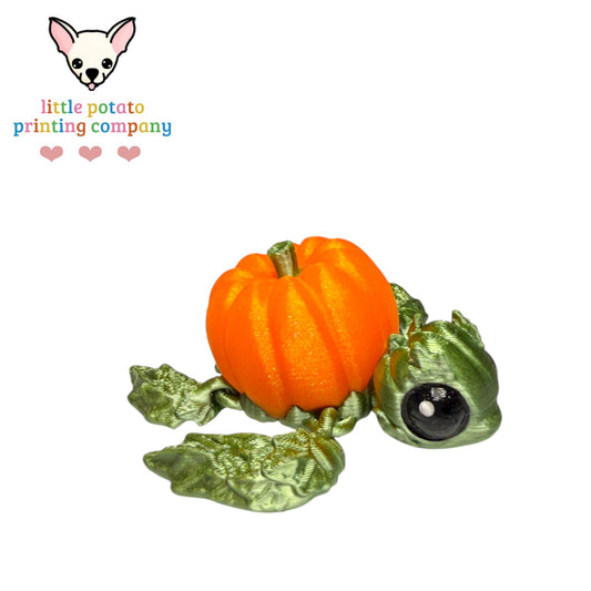 Mini Pumpkinurtle MMU