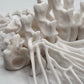 Bone Moth