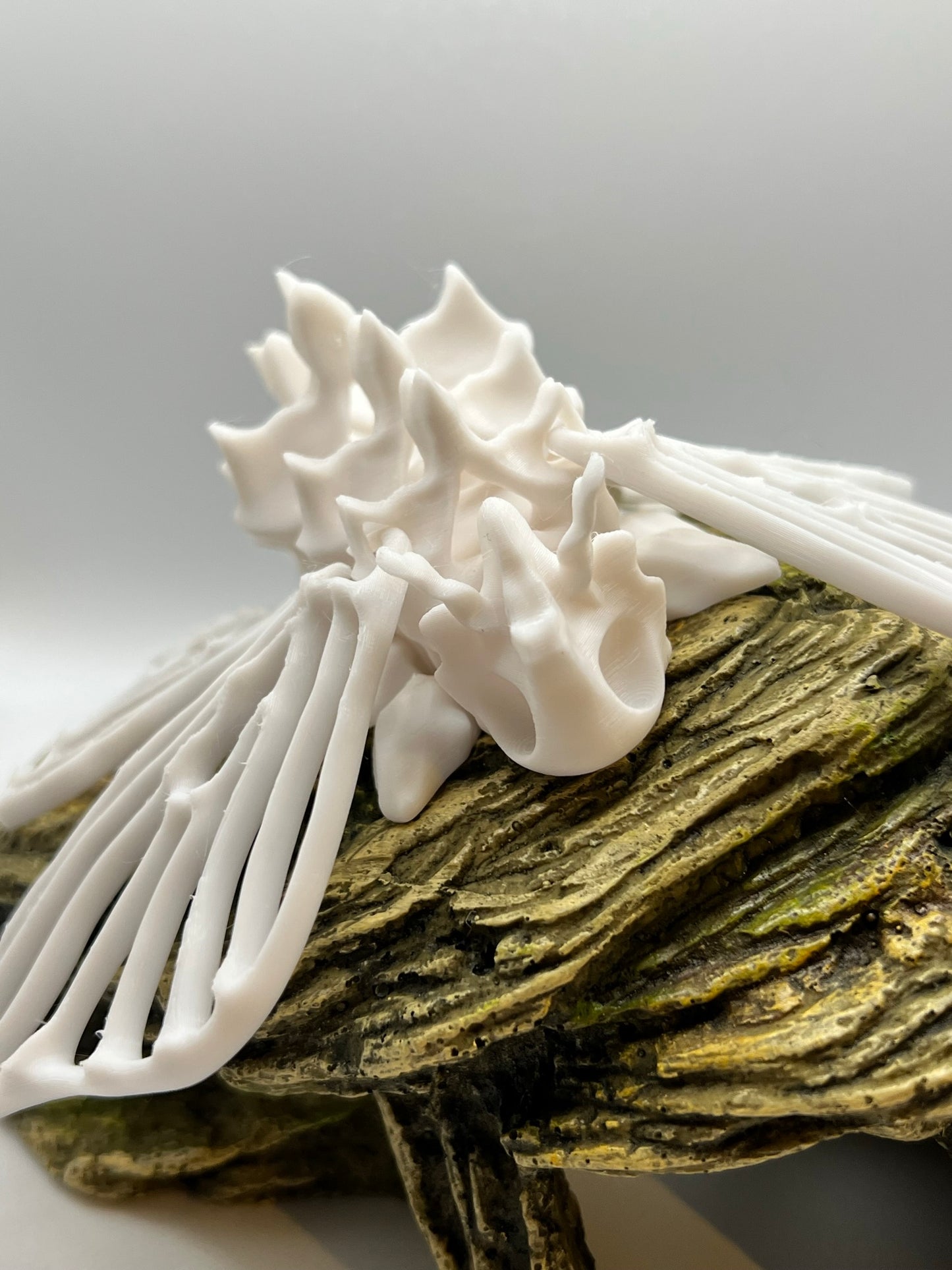 Bone Moth