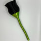 Rose with Spiral Stem