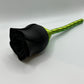 Rose with Spiral Stem