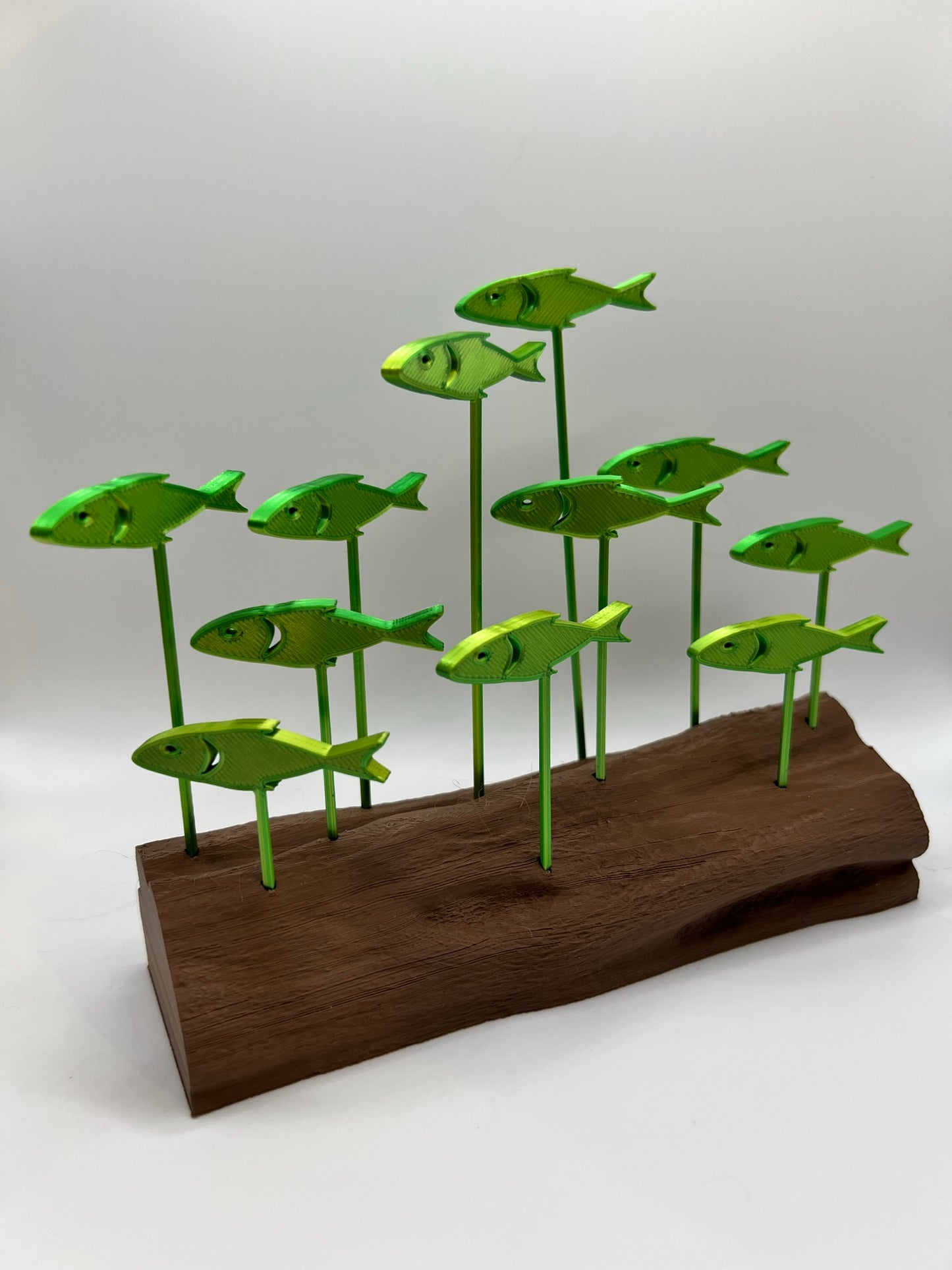 School of Fish with Log - Large