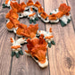 Baby Sushi Dragon - Medium