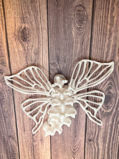 Bone Moth