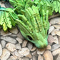 Baby Flying Serpent Dragon - Small