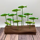 School of Fish with Log - Large