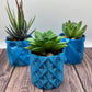 Succulent Planter (Various)