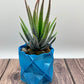 Succulent Planter (Various)