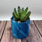 Succulent Planter (Various)