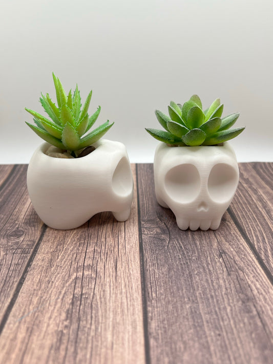 Skull Pot Succulent Planter