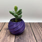 Round Bauble Spiral Succulent Holder