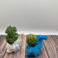 Bunny Succulent Planter
