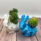 Bunny Succulent Planter