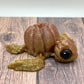 Pumpkinurtle - Mini