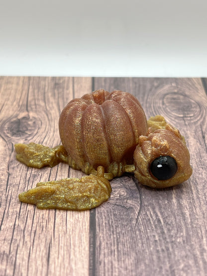 Mini Pumpkinurtle