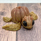 Pumpkinurtle - Mini