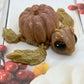 Pumpkinurtle - Mini
