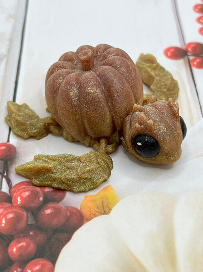 Mini Pumpkinurtle