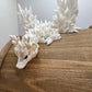 Winter Snowflake Dragon - Medium