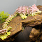 Orchid Dragon (Tall) - Medium