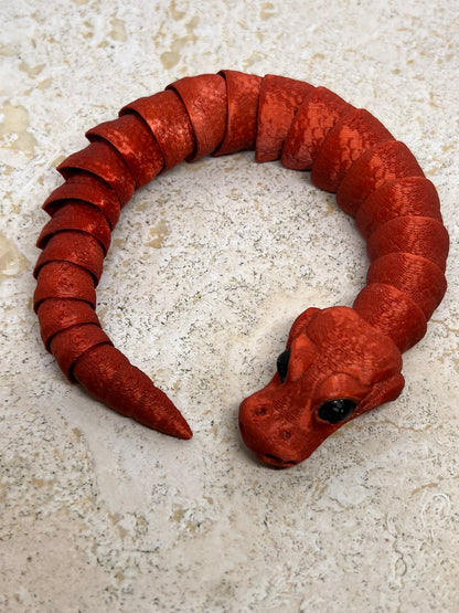 Snake - Young Ball Python