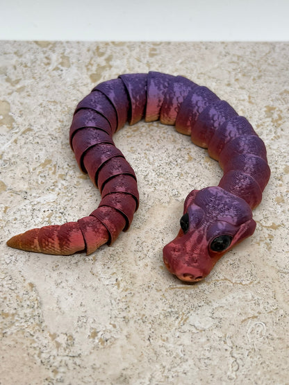 Snake - Young Ball Python