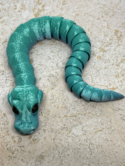 Snake - Young Ball Python