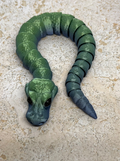 Snake - Young Ball Python