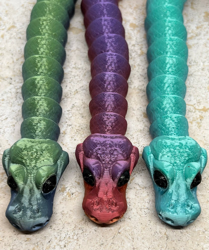 Snake - Young Ball Python