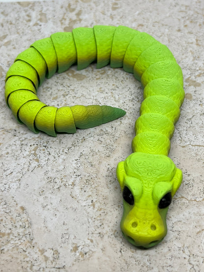 Snake - Young Ball Python