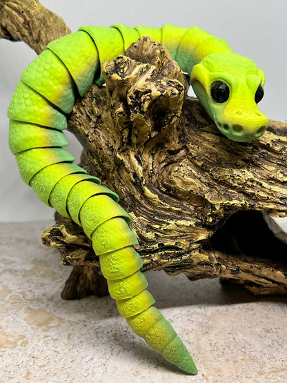 Snake - Young Ball Python