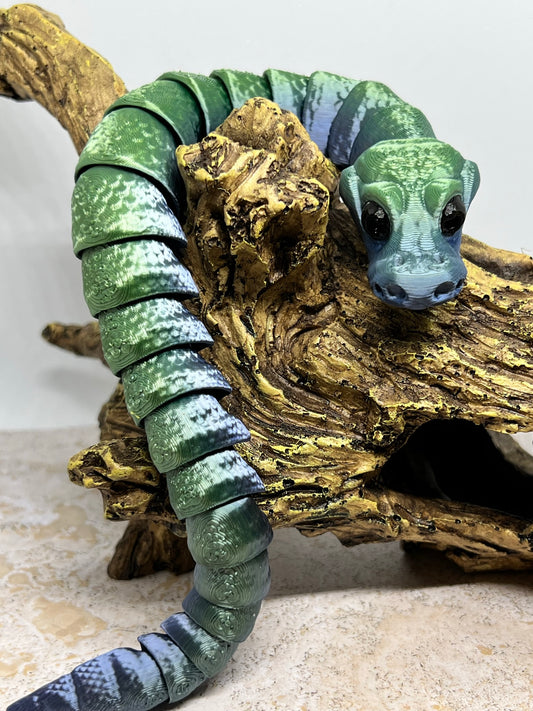 Snake - Young Ball Python