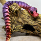 Snake - Young Ball Python