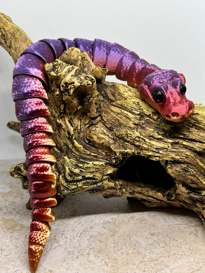 Snake - Young Ball Python