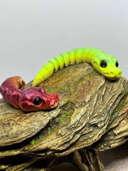 Snake - Baby Ball Python