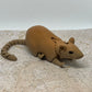 IXPatch Rat Flexi - Medium