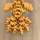 Baby Phoenix - Medium
